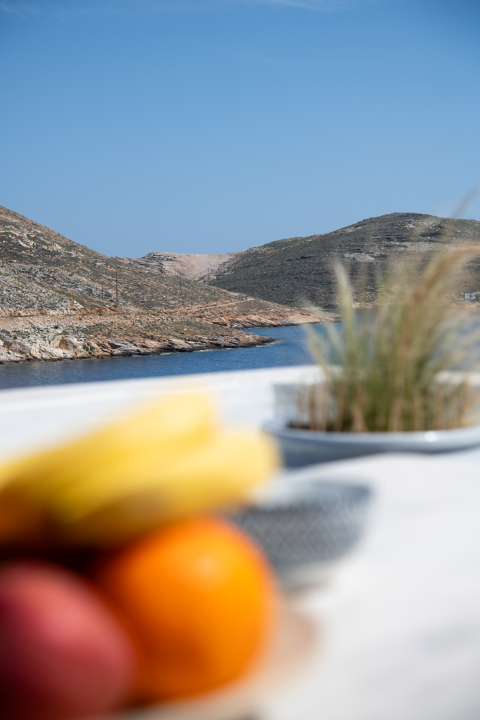 patio-fruit